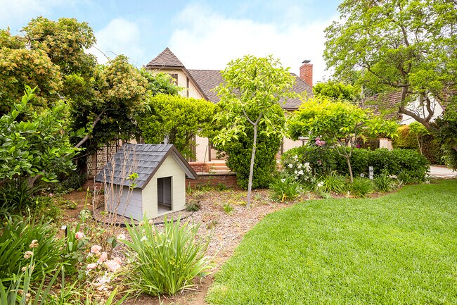 Pet play area - 2173 San Pasqual St