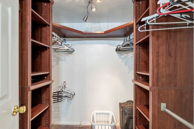 Building Photo - Fully Furnished Beautiful 2-bed, 2-bath PV Condo