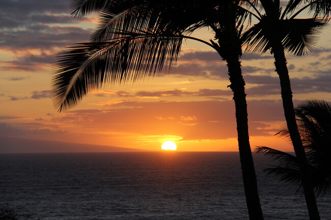 Building Photo - 2777 S Kihei Rd