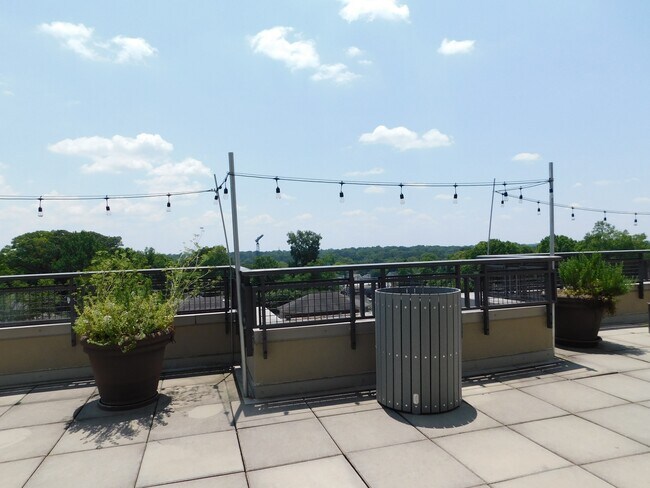 Building Photo - 1315 East Blvd