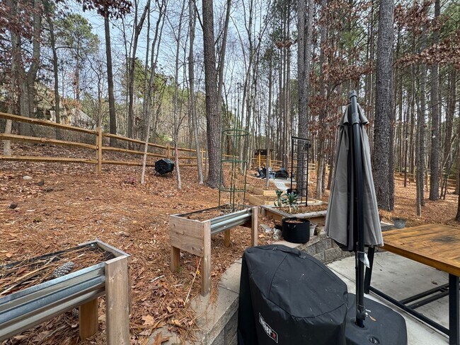 Building Photo - Available to Show