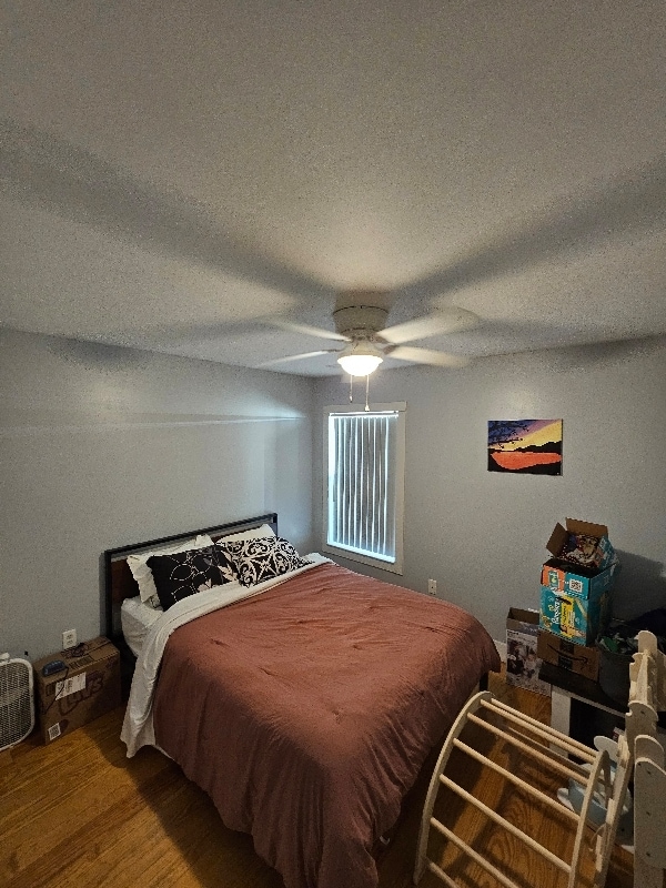 Building Photo - 2104 Razorback Ln