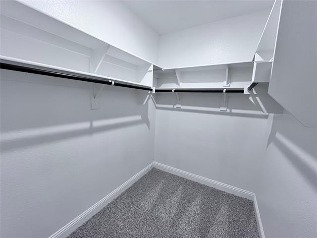 Building Photo - 808 Portina Dr