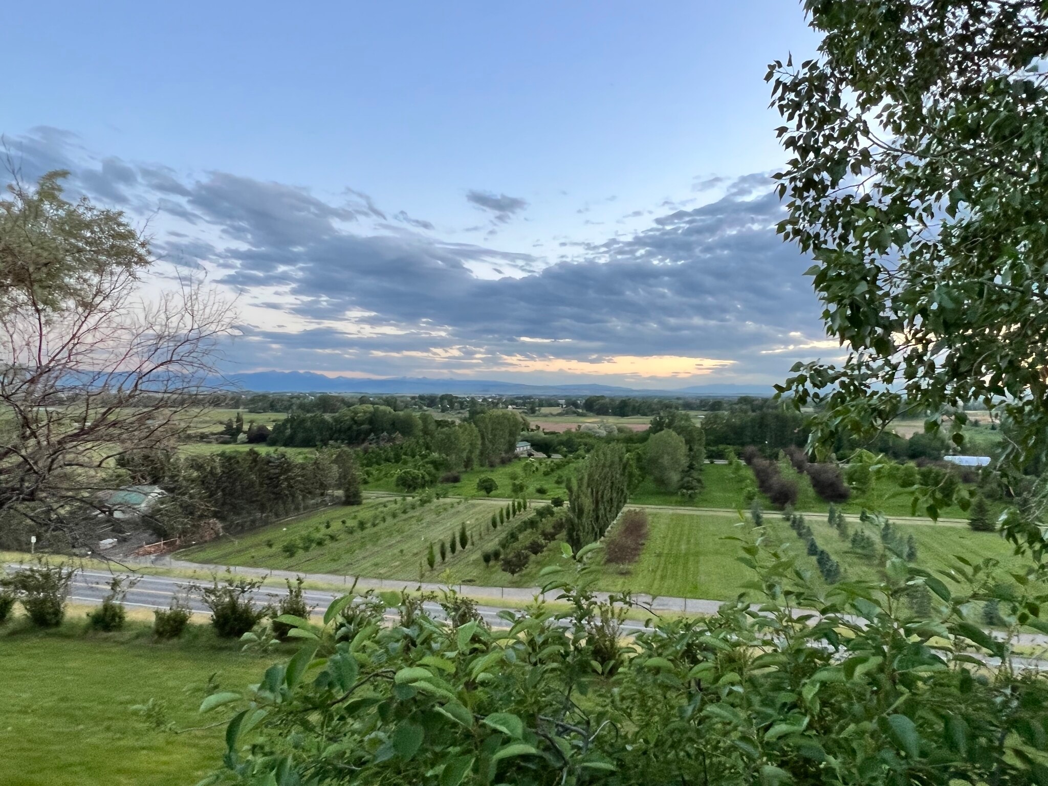 View from Deck - 5014 Justin Ln