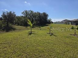 Building Photo - 12588 Timber Moss Ln