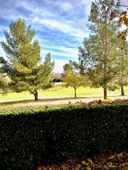 Backyard - 14305 Augusta Dr