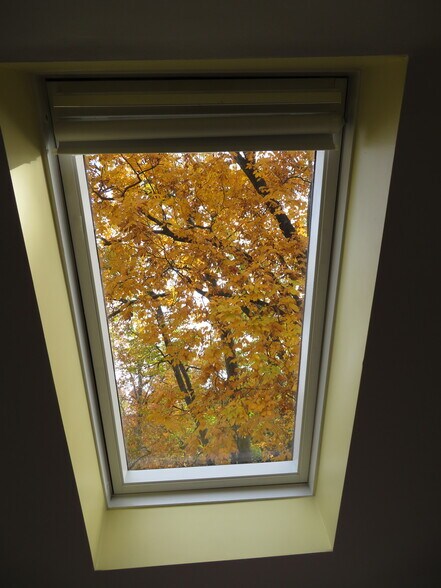 Building Photo - 1044 26th St S