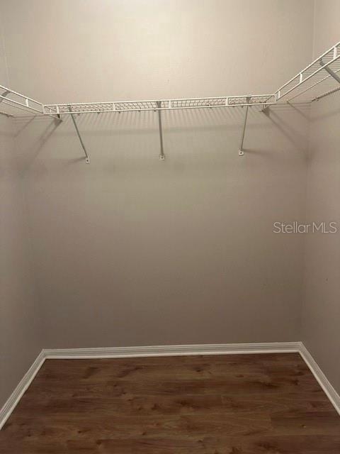 Building Photo - 515 Scarlet Maple Ct