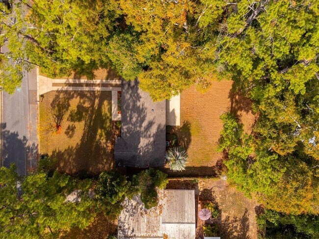 Building Photo - 1707 Hall Dr