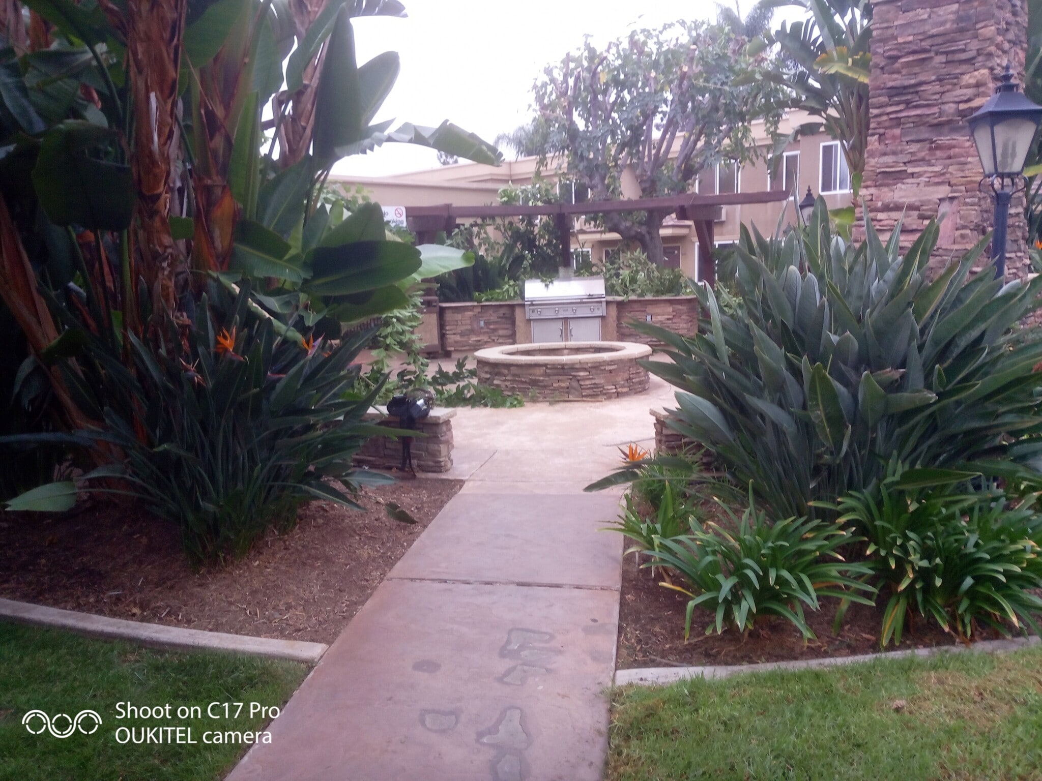 Building Photo - 792 Avocado Ave