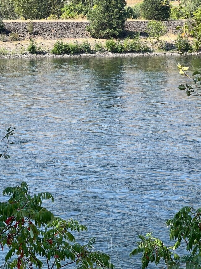 Building Photo - Fully Furnished Riverfront Cabin on the Clearwater River – Move-In Ready!