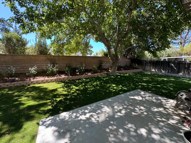 Backyard - 44215 Danya Ln