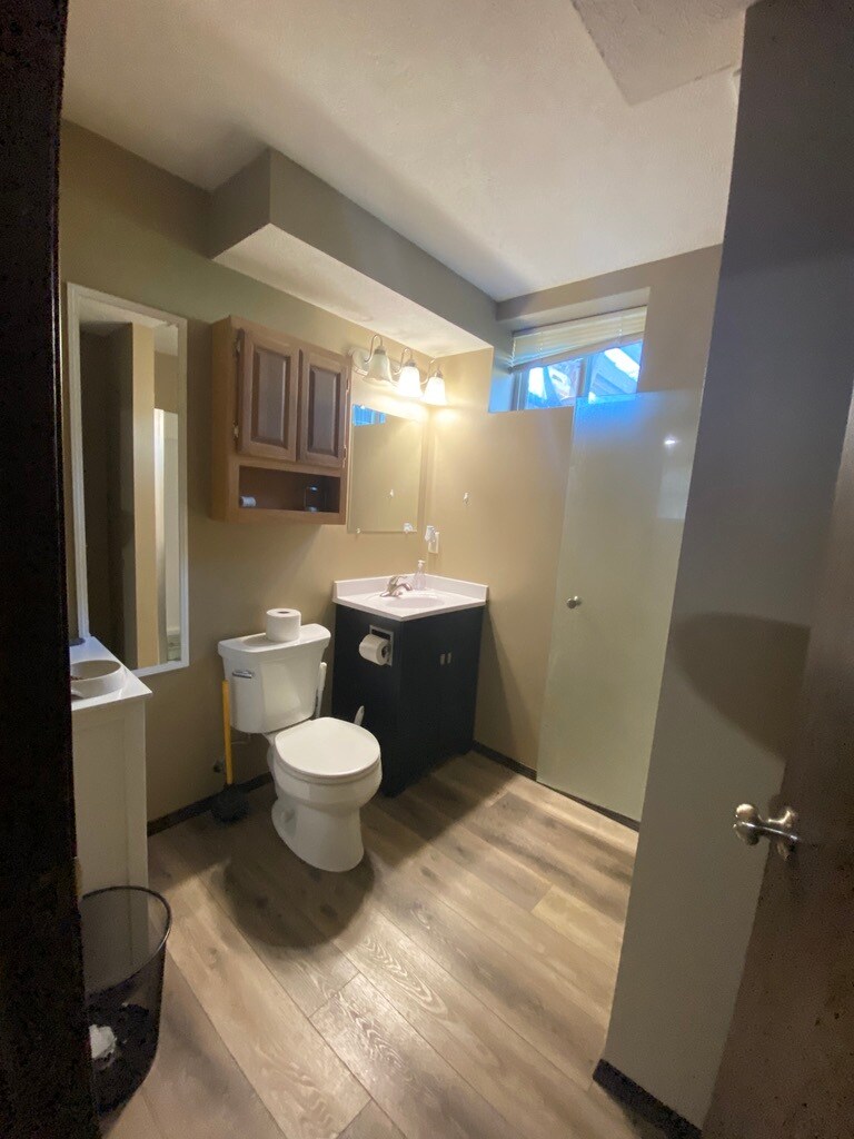 Basement bathroom with shower - 1400 Fairfield St