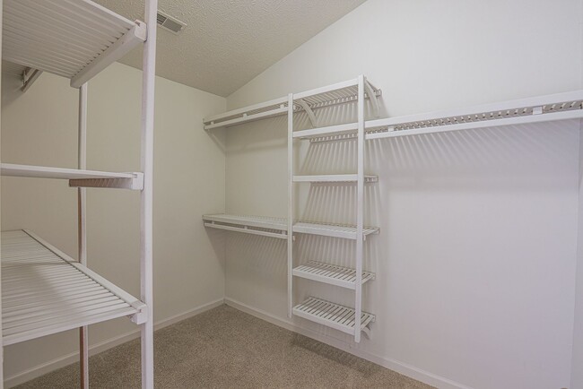 Building Photo - 4907 Bristle Cone Cir