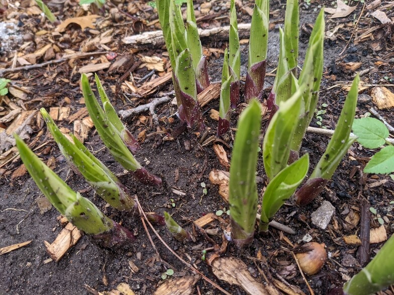 Building Photo - 8970 E Gull Lake Dr