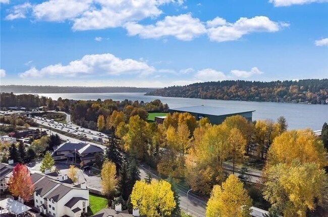 Building Photo - 1 Bedroom Near Lake Washington With Pool!