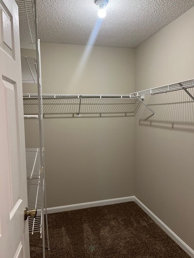 Building Photo - Available now-60 Woodfield Pl.