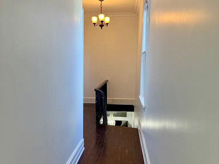 Building Photo - 388 Princeton Ave