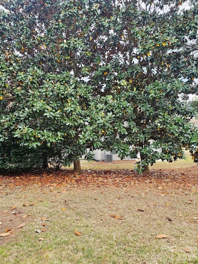 Building Photo - 10609 Fuller Ridge Cir