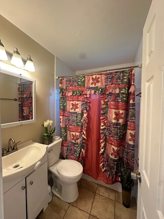 Main bathroom (same as above photo) - 1444 Dodge St