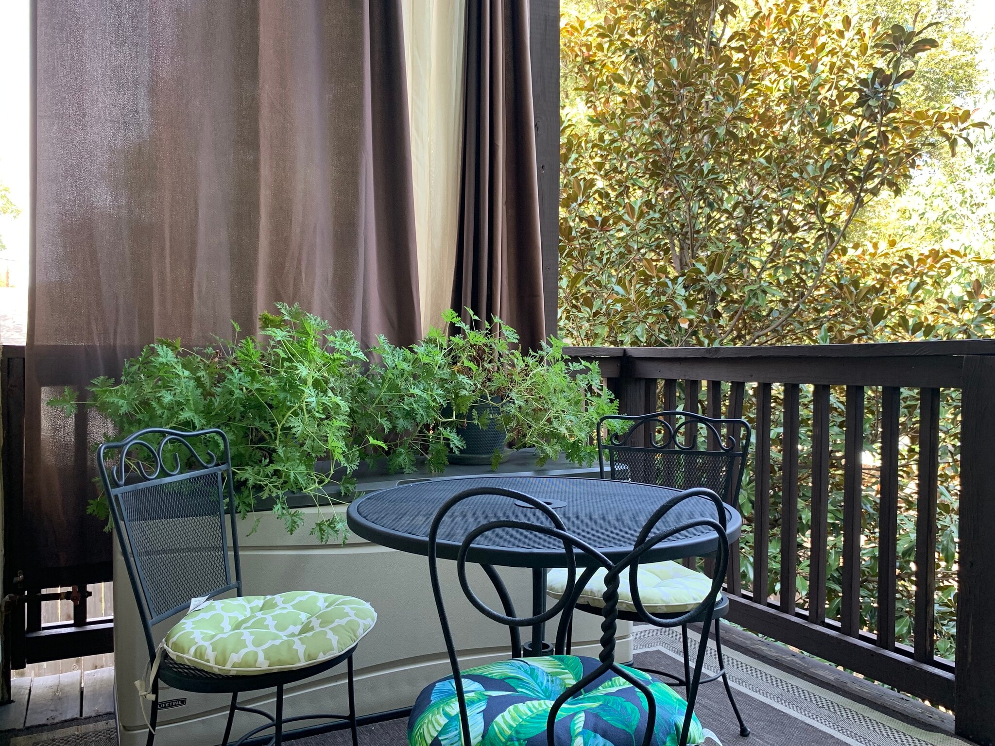 First floor deck with dining bistro overlooking back yard. - 905 Prospect Ave