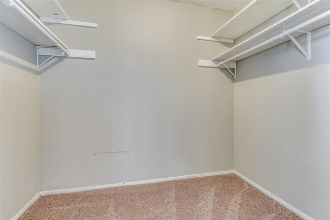 Building Photo - 5303 Indio Cove