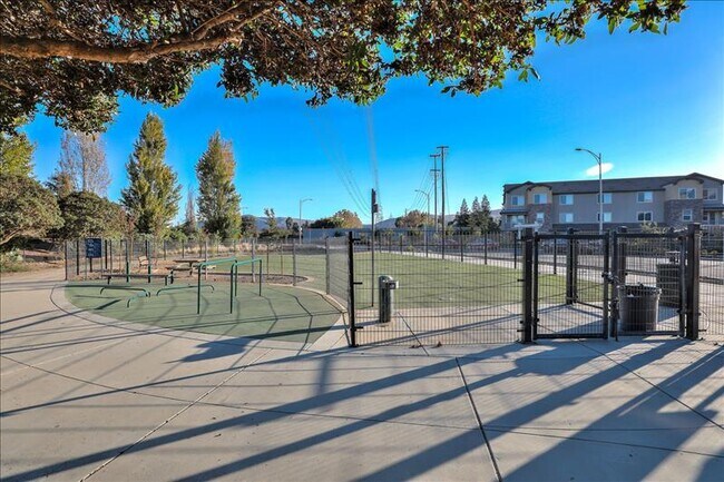 Building Photo - 890 White Moonstone Loop