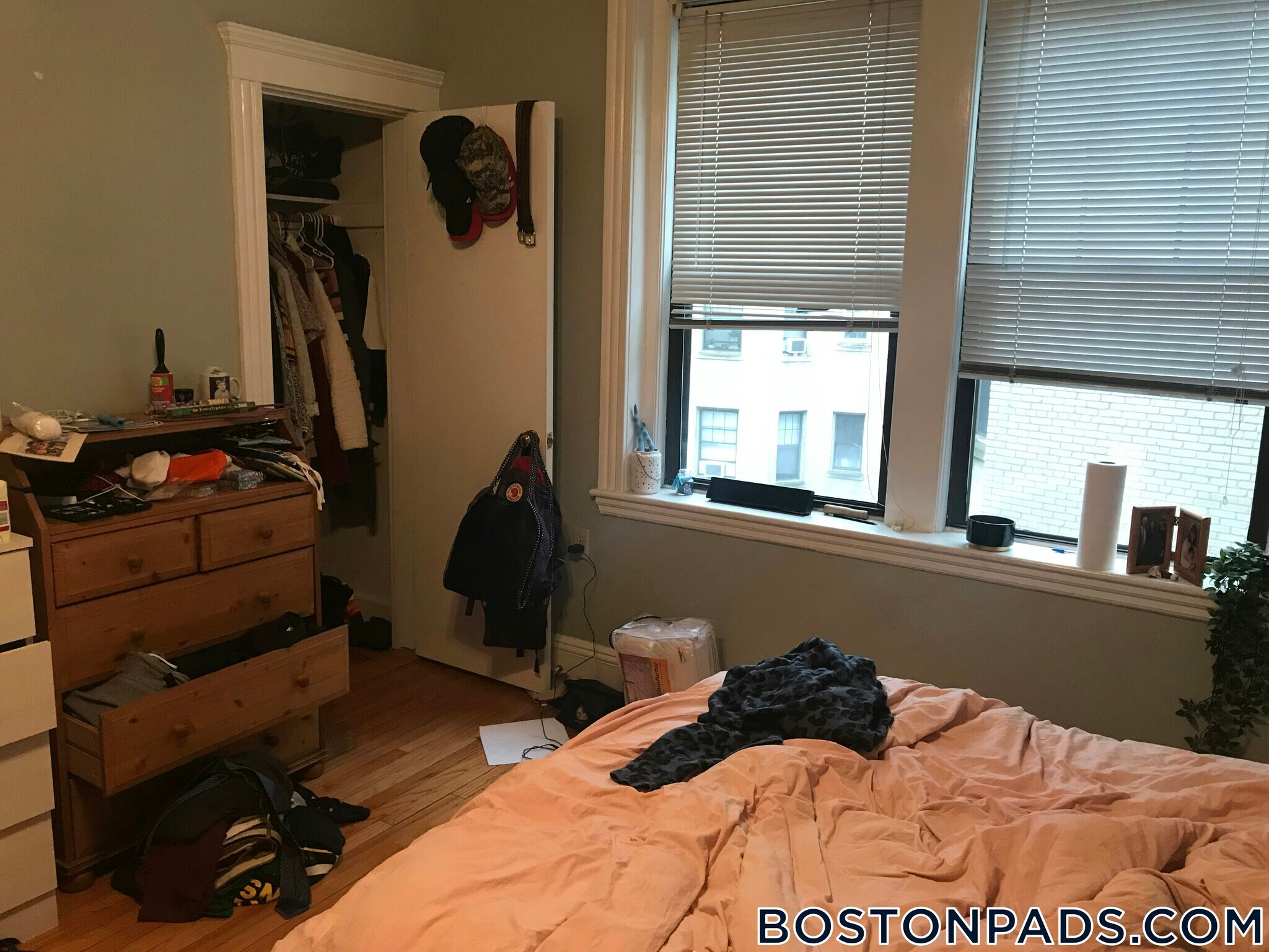 Building Photo - 370 Chestnut Hill Ave