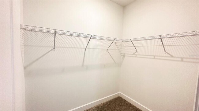 Building Photo - 3806 Savanna Palms Ct