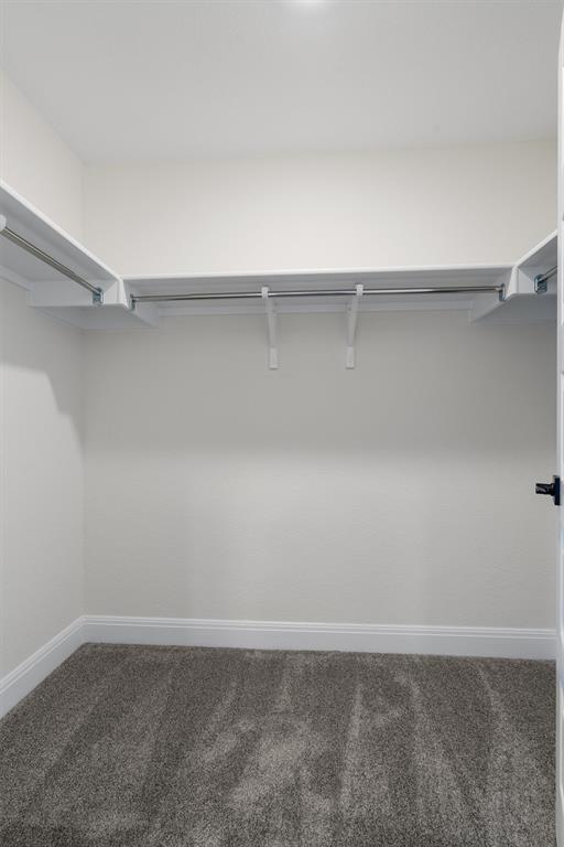 Building Photo - 8007 Marigny Wy