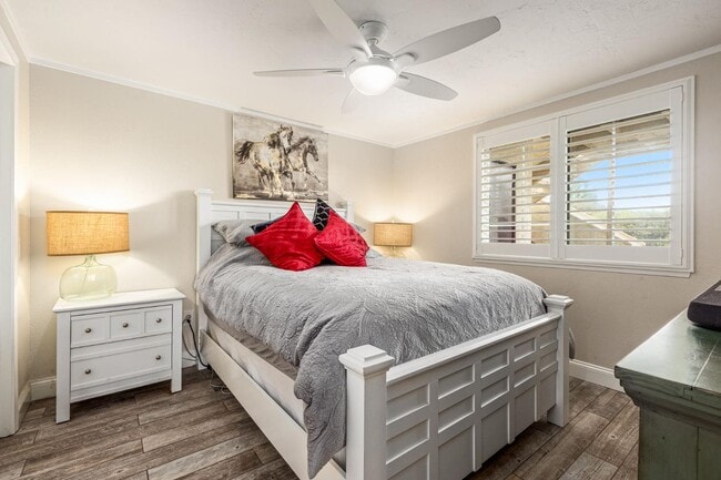 Building Photo - 3577 Paseo De Los Californianos