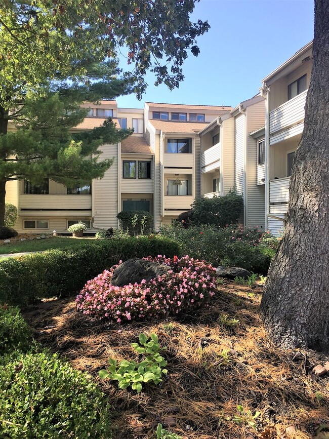 Building Photo - Remodeled condo available for July!