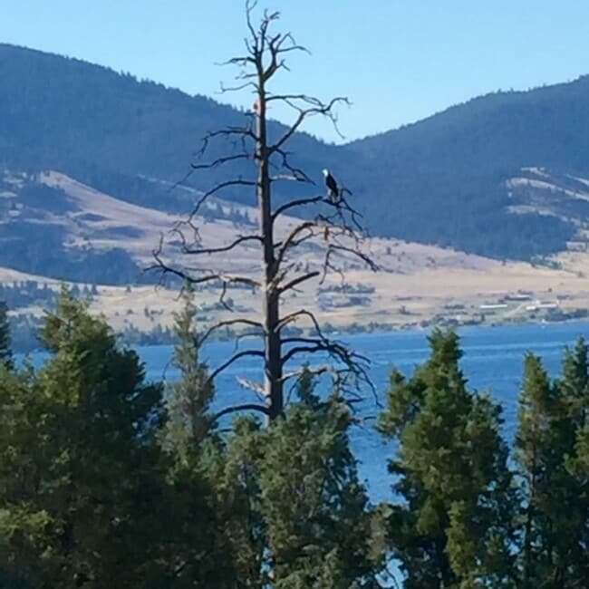 Building Photo - 27096 Old Hwy 93