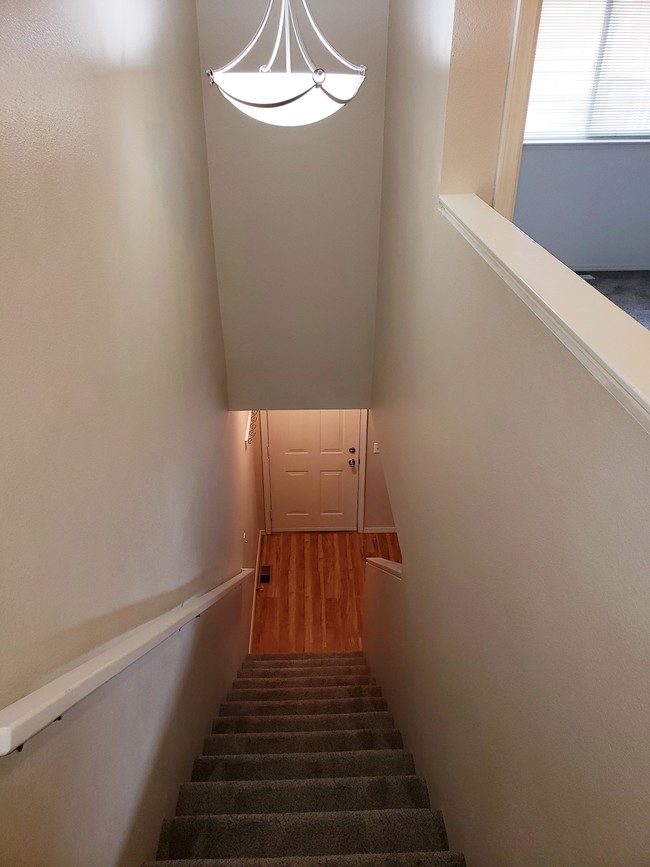 Excellent Layout - 1211 Balfour Dr