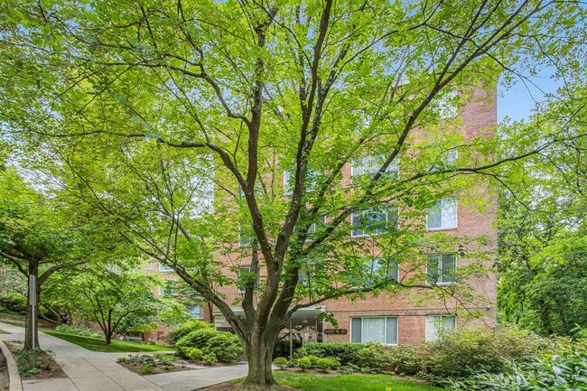 Building Photo - Glover Park Oasis