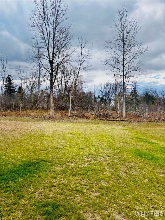 Building Photo - 107 Grant Blvd