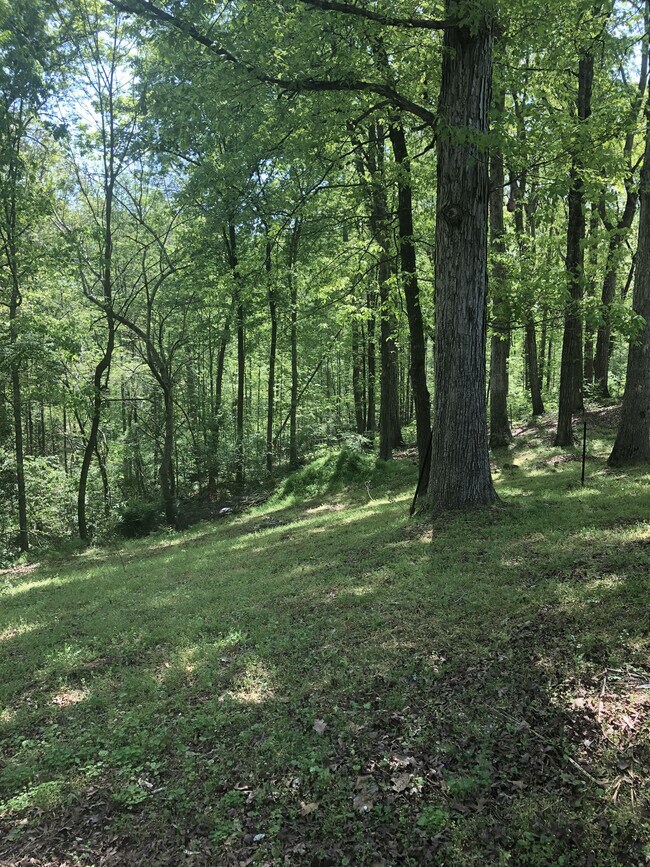 Building Photo - 1070 Acorn Ct