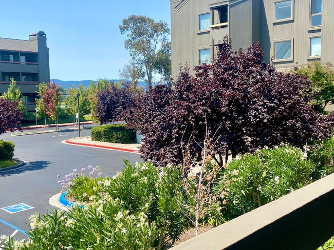 Primary Photo - 800 Sea Spray Ln