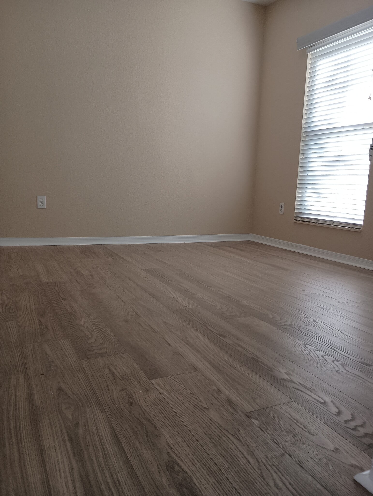 Bedroom 2 - 402 S Armenia Ave