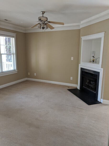 Building Photo - BIRKDALE VILLAGE 3 BEDROOM/2 BATH