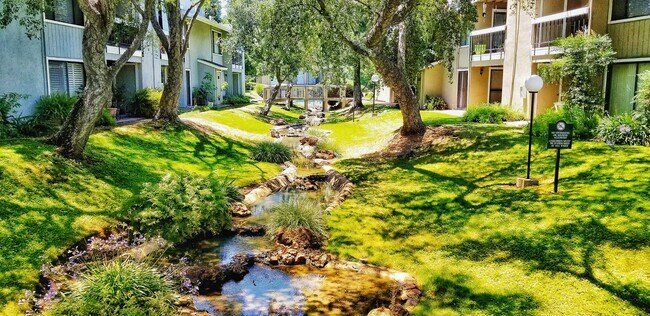 Common grounds "backyard" view. - 6614 Embarcadero Dr