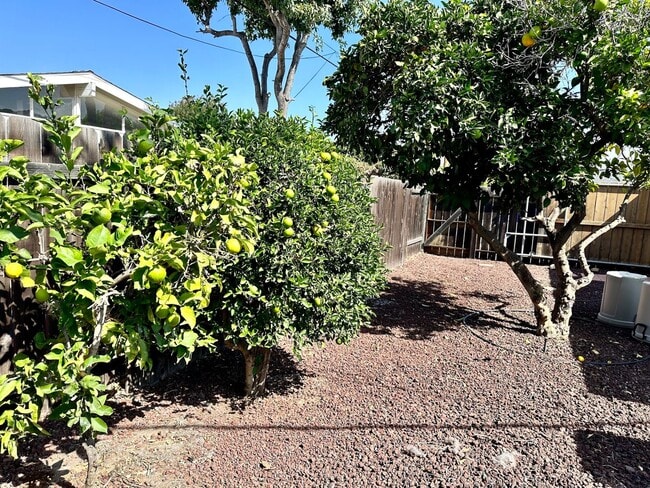 Building Photo - Beautifully Remodeled Allied Gardens Home