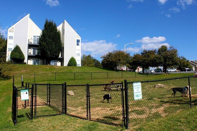Building Photo - 1330 Bradley Dr