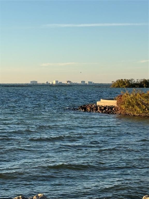 Building Photo - 5000 Culbreath Key Way