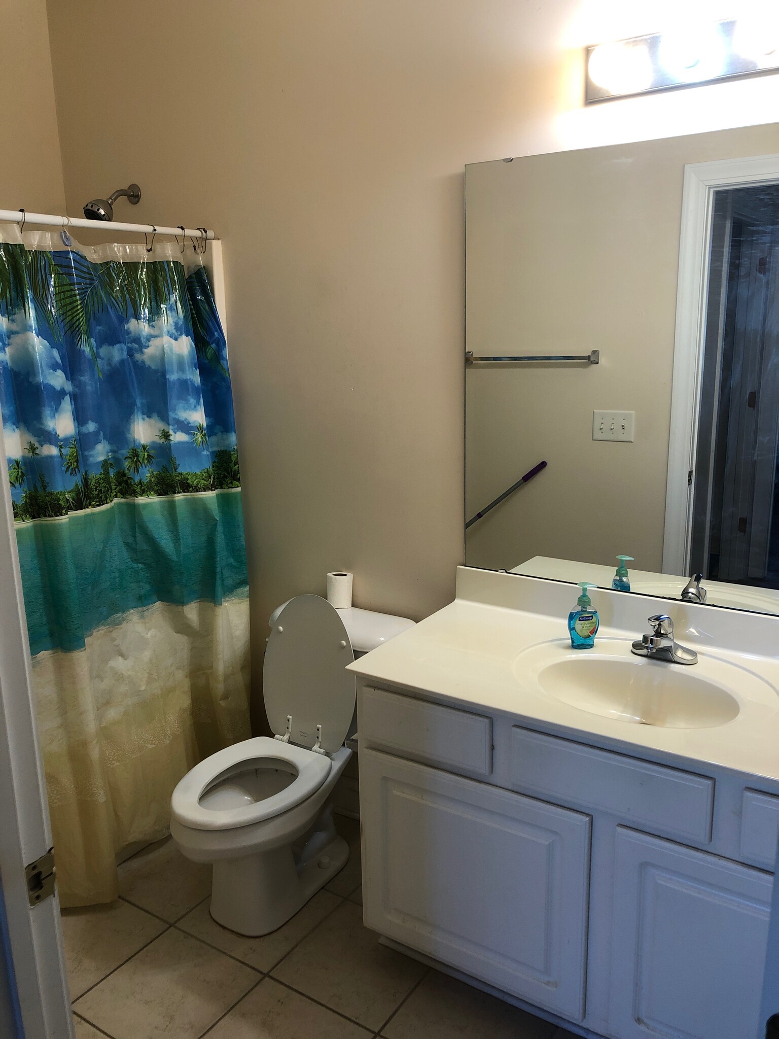 2nd bathroom - 1025 Algonquin Dr