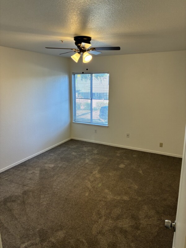 Building Photo - 315 N Cottonwood St