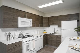 Building Photo - Chestnut Terrace Apartments