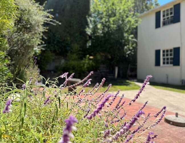 Building Photo - This is a Berkeley Lifestyle. | 3BR | 1.5BA | 1,450 SF | Just Steps from Campus