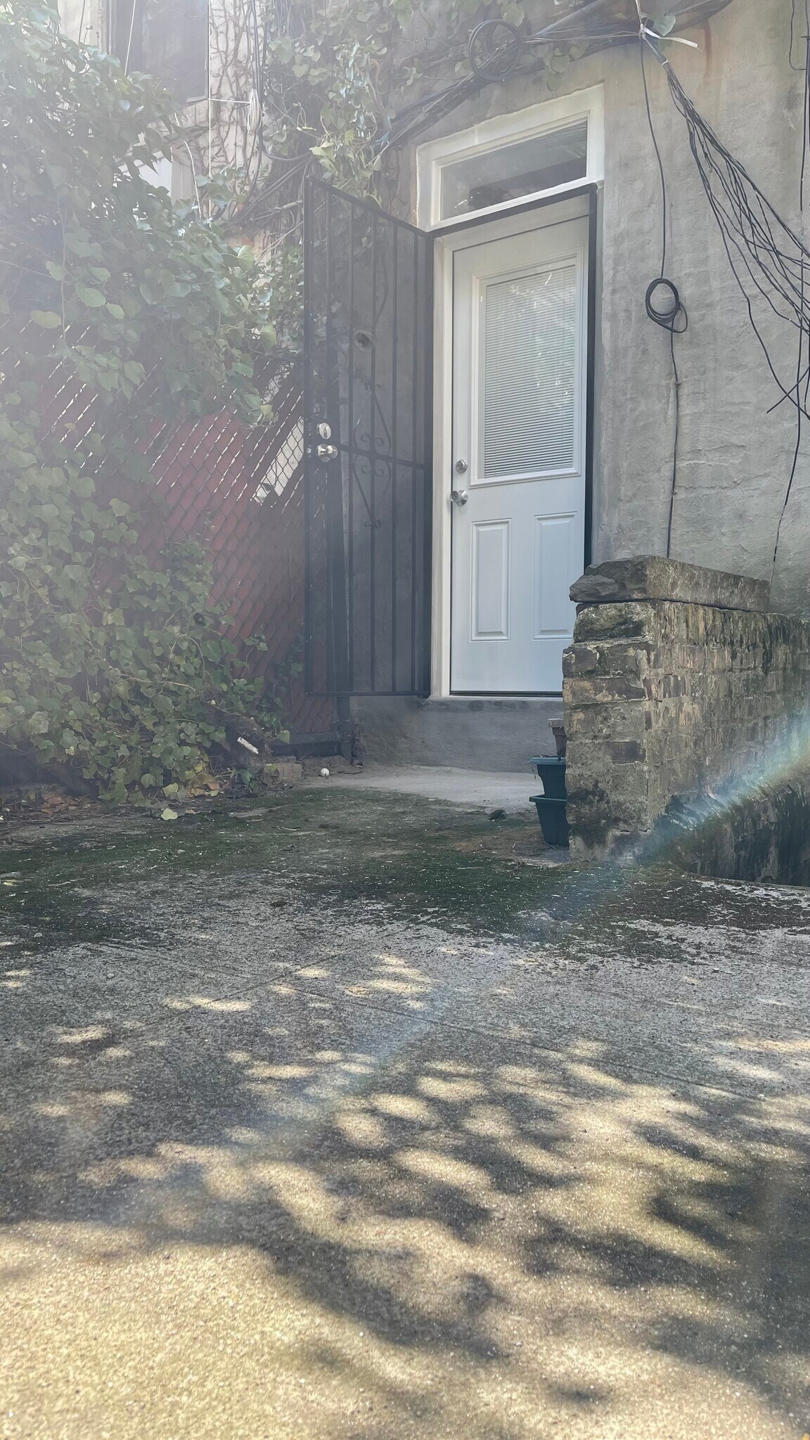 backyard - 215 E 88th St