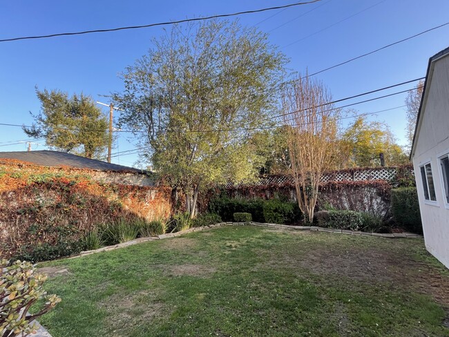 Large backyard - 2542 Kelton Ave